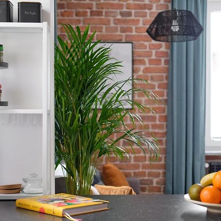 Mikroklimatyczny Apartament Dla 4 Osob - Blisko Szlakow, W Centrum ชกลาร์สกา ปอเรมบา ภายนอก รูปภาพ
